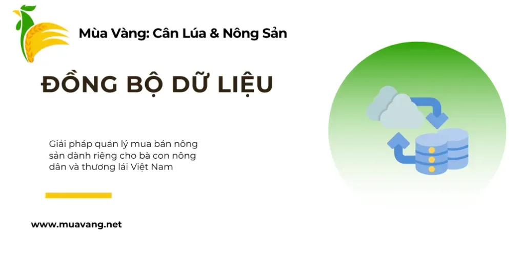Đăng Nhập và Đồng Bộ Dữ Liệu Mùa Vàng: An Toàn Tuyệt Đối, Làm Việc Mọi Nơi