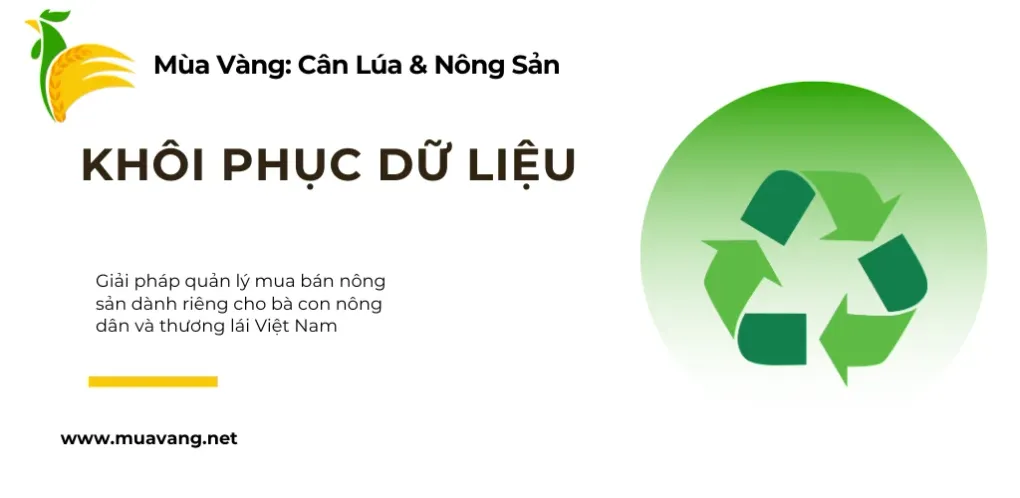 Hướng Dẫn Khôi Phục Dữ Liệu Mùa Vàng: An Toàn Tuyệt Đối Với Thùng Rác