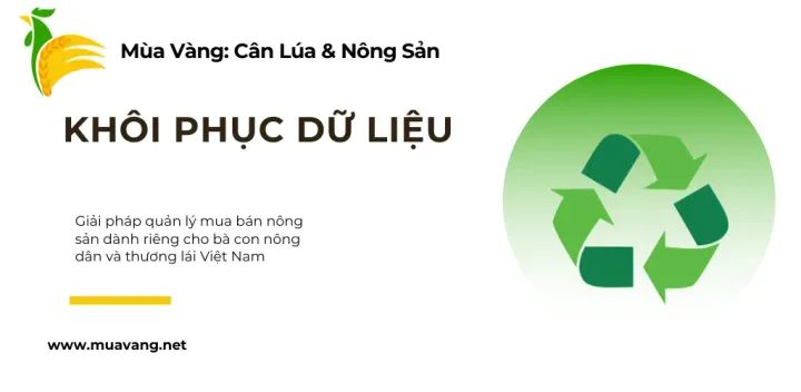 Hướng Dẫn Khôi Phục Dữ Liệu Mùa Vàng: An Toàn Tuyệt Đối Với Thùng Rác